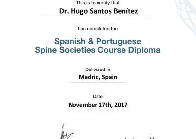 Iberian Diploma ( Spanish & Portuguese Spine Societies )